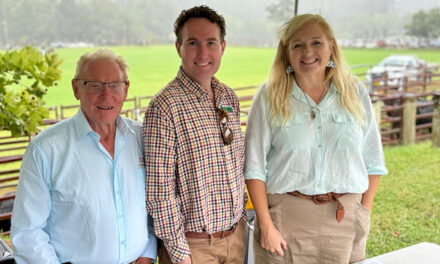 FIGHTING FOR AUSTRALIAN TIMBER